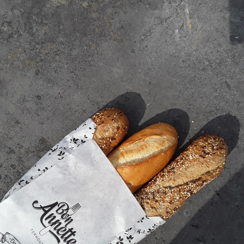 Panini